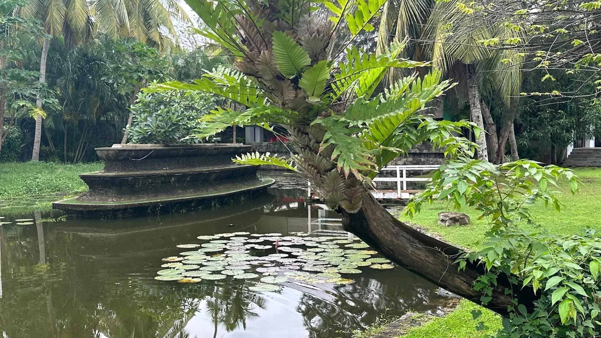 Amaluna Resorts Negombo